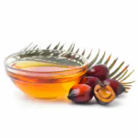 Palm kernel oil