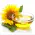 Sunflower oil